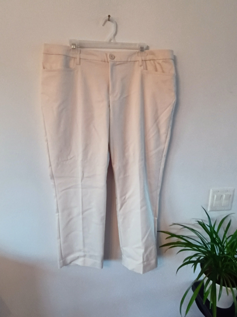 C.J. Banks The Perfect Pant 16W Petite Relaxed Fit High Rise Beige Trousers NWT